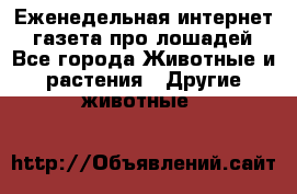 Еженедельная интернет - газета про лошадей - Все города Животные и растения » Другие животные   
